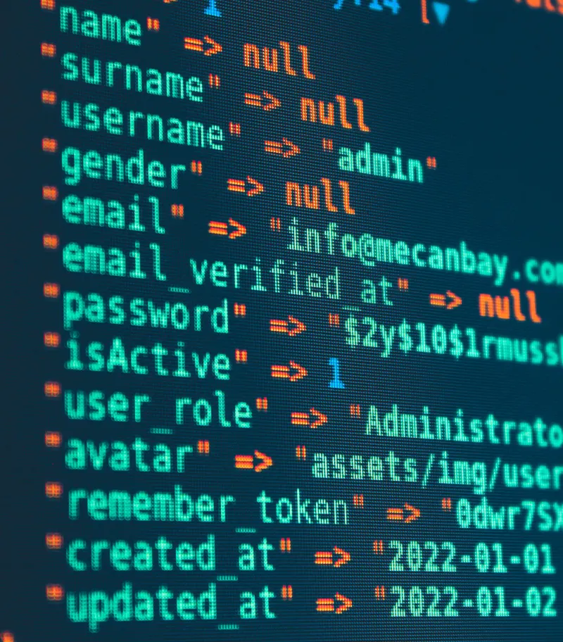 Programmacode met gebruikersgegevens op een beeldscherm